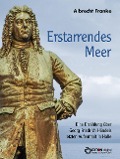 Cover-Bild zum Titel 'Erstarrendes Meer' von 'Albrecht Franke'