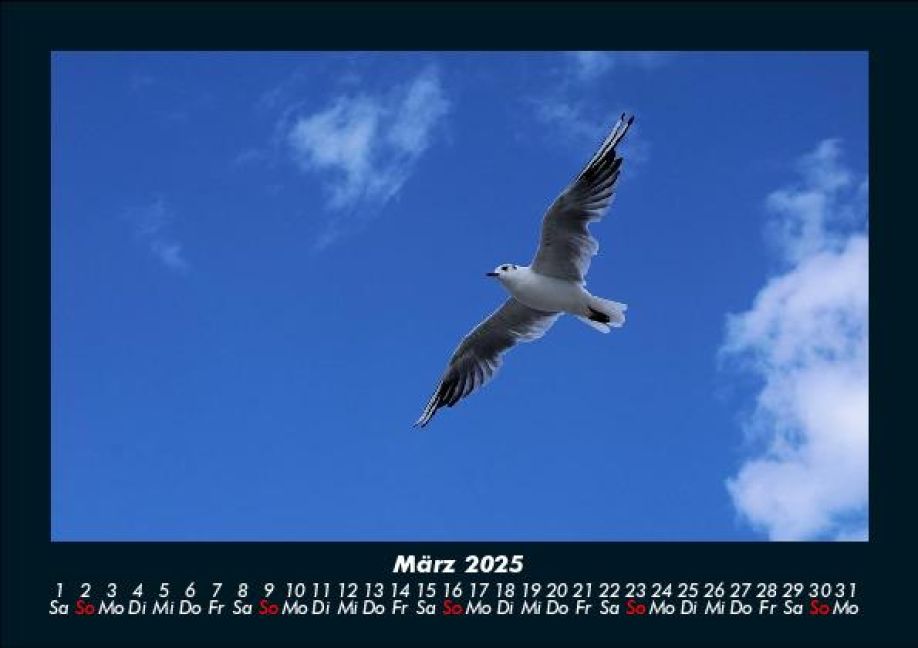 InsideView 7