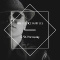 Cover-Bild zum Titel 'Mr. Justice Raffles' von 'E. W. Hornung'