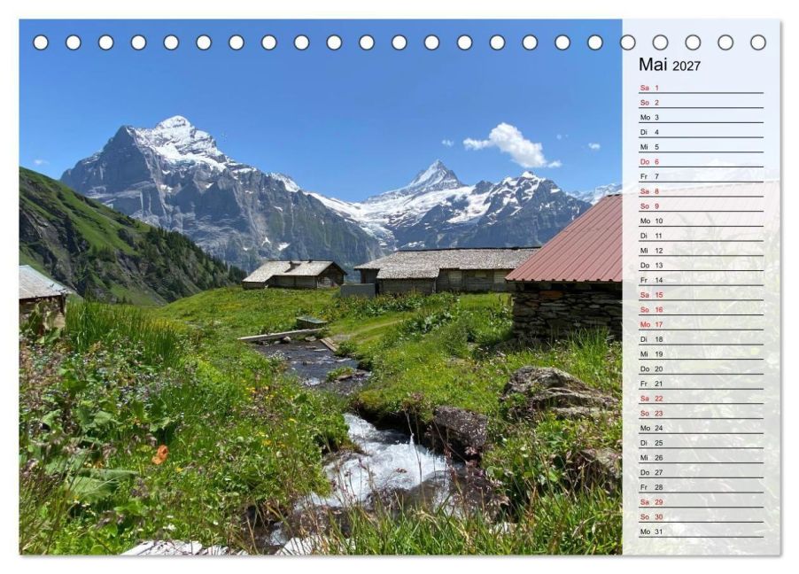 InsideView 10