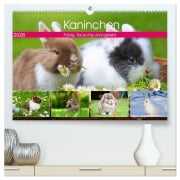 Cover-Bild zum Titel 'Kaninchen. Putzig, flauschig und geliebt (hochwertiger Premium Wandkalender 2026 DIN A2 quer), Kunstdruck in Hochglanz' von 'Rose Hurley'