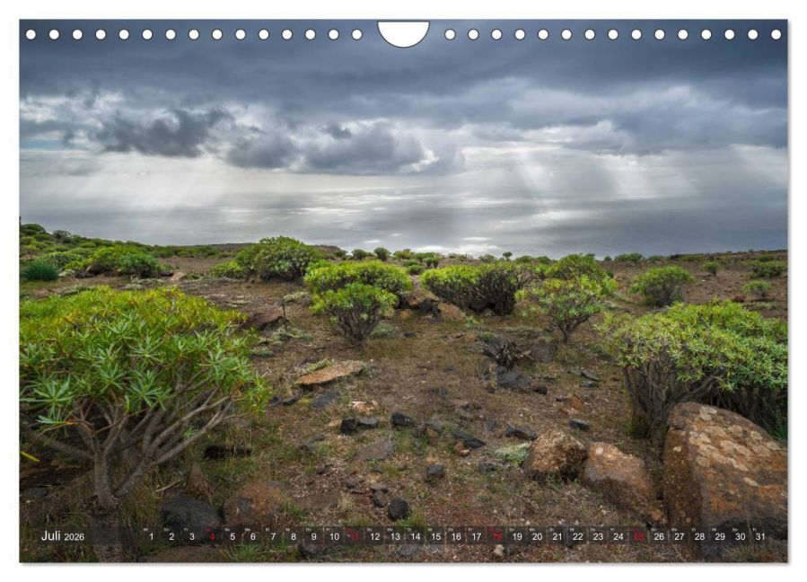 InsideView 12