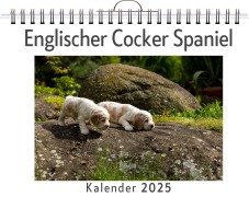 Cover-Bild zum Titel 'Englischer Cocker Spaniel' von 'Sofia Weber'