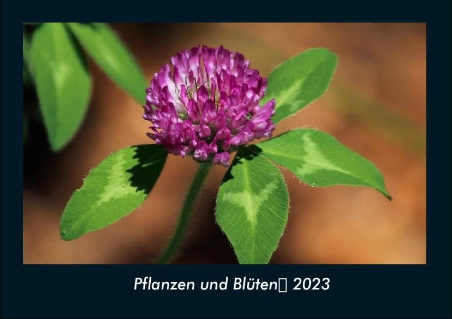 Pflanzen und Blüten 2023 Fotokalender DIN A4 - Tobias Becker