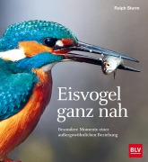 Cover-Bild zum Titel 'Eisvogel ganz nah' von 'Ralph Sturm'