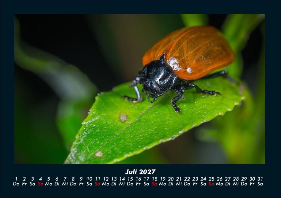 InsideView 11