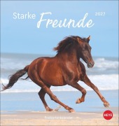 Cover-Bild zum Titel 'Pferde Postkartenkalender 2027 - Starke Freunde' von ''