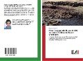 Cover-Bild zum Titel 'Monitoraggio del flusso di CO2 su terreni torbosi del basso Veneziano' von 'Giovanni Maniero'