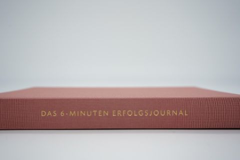 InsideView 2