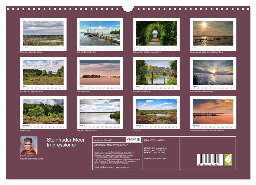 InsideView 5