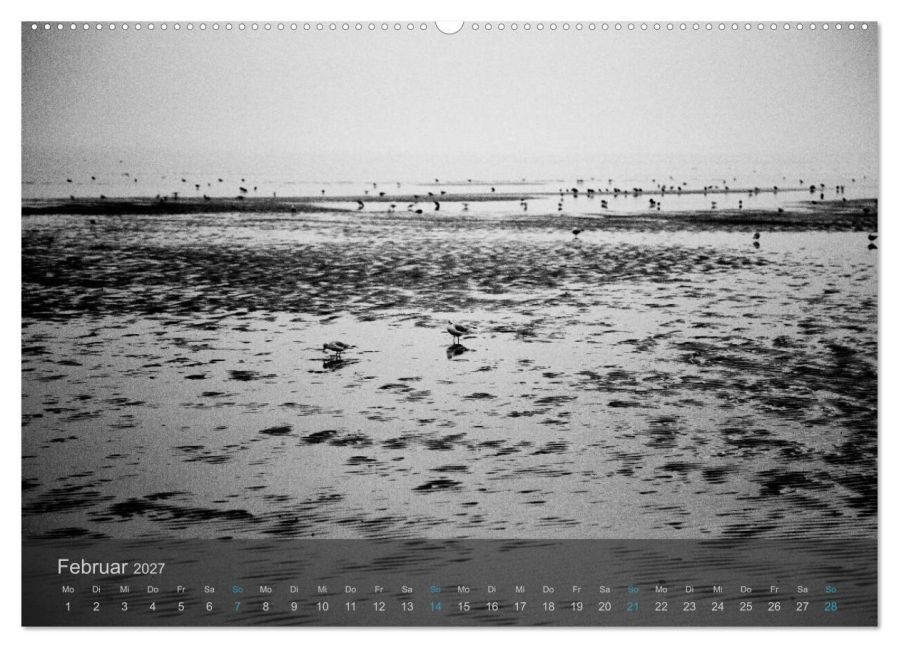 InsideView 7