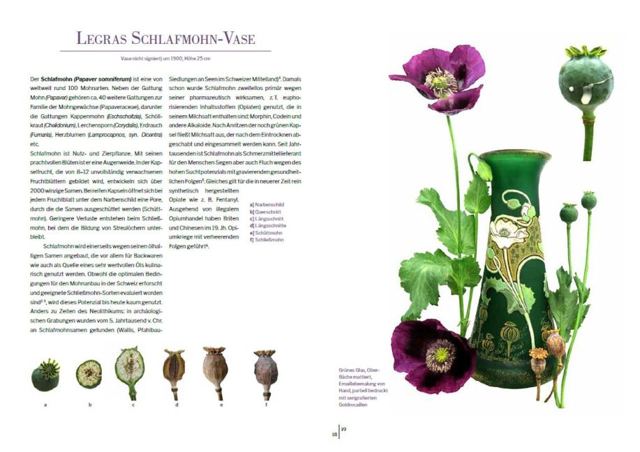 InsideView 1