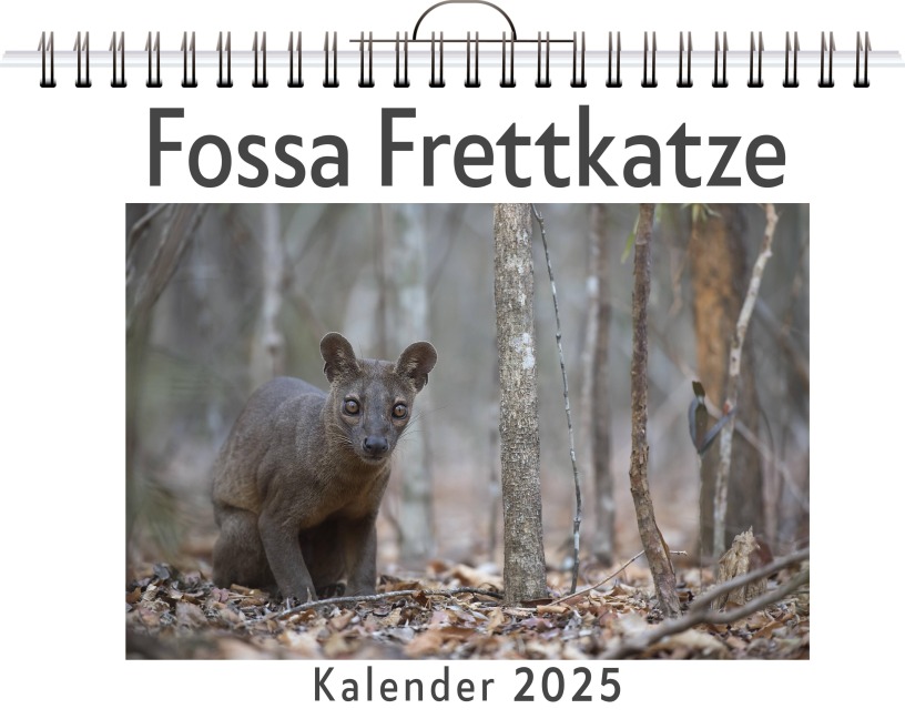 Fossa Frettkatze - Nora Werner