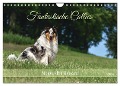 Fantastische Collies - Sieger der Herzen (Wandkalender 2024 DIN A4 quer), CALVENDO Monatskalender - Yvonne Janetzek