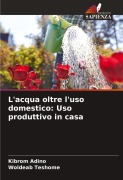 Cover-Bild zum Titel 'L'acqua oltre l'uso domestico: Uso produttivo in casa' von 'Kibrom Adino, Woldeab Teshome'