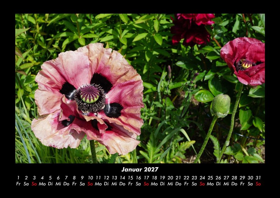 InsideView 5
