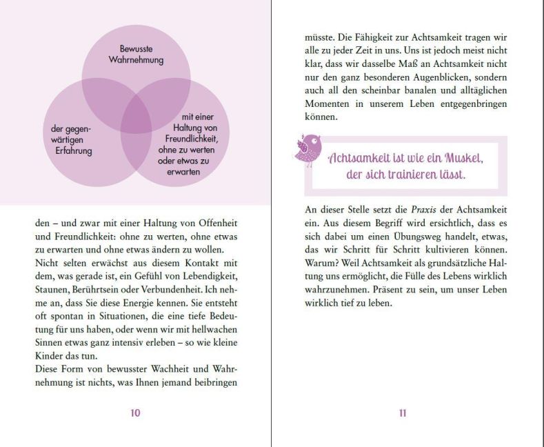 InsideView 1