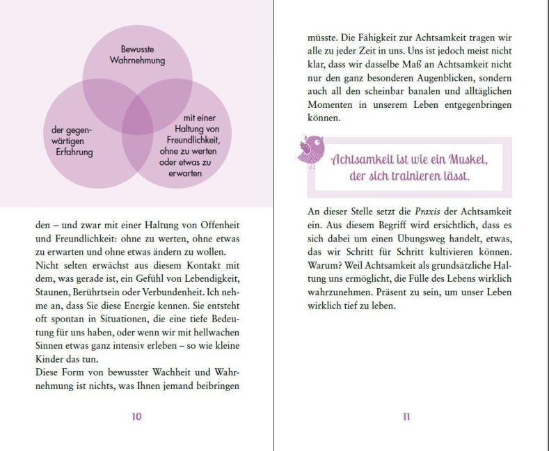 InsideView 1
