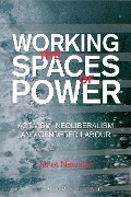 Cover-Bild zum Titel 'Working the Spaces of Power' von 'Janet Newman'