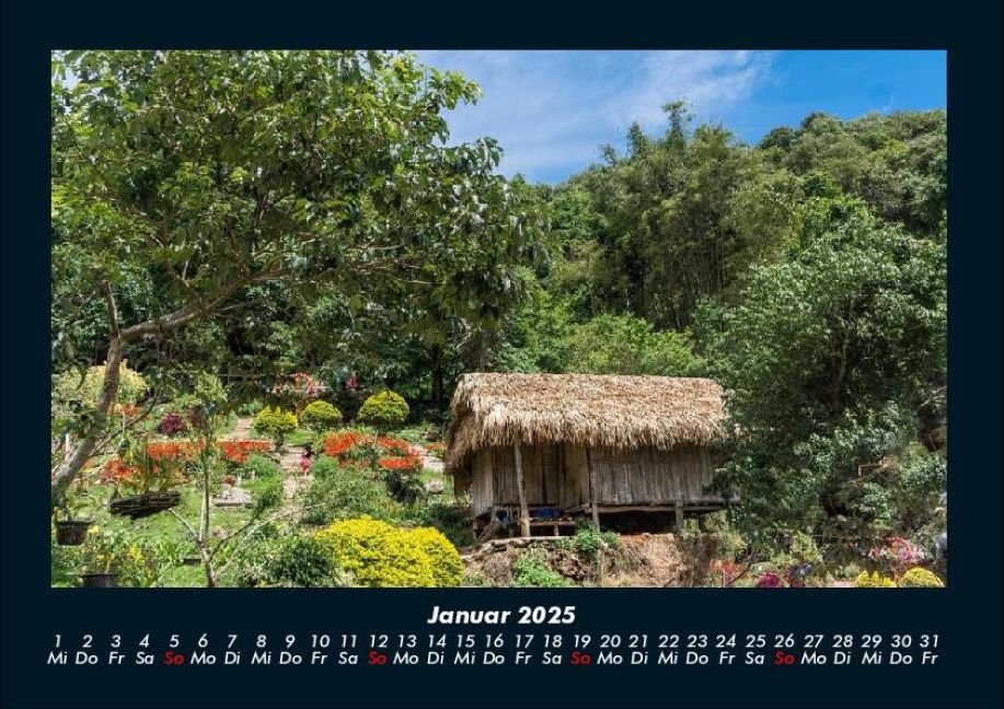 InsideView 5