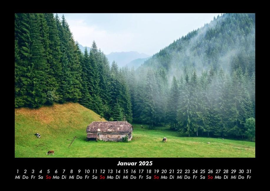 InsideView 5