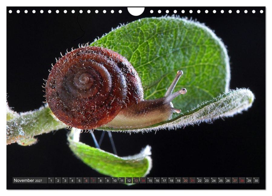 InsideView 3