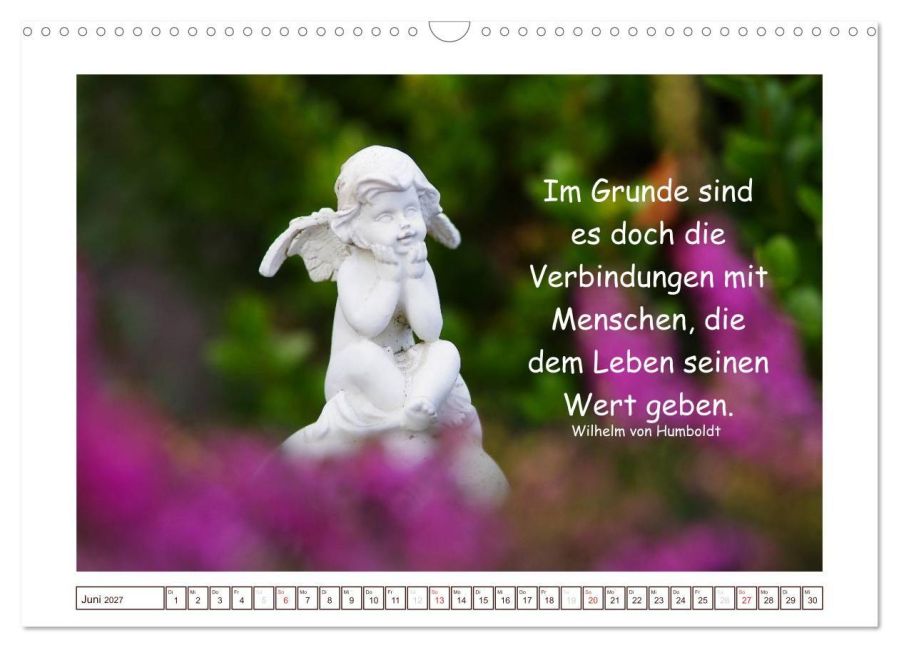 InsideView 11