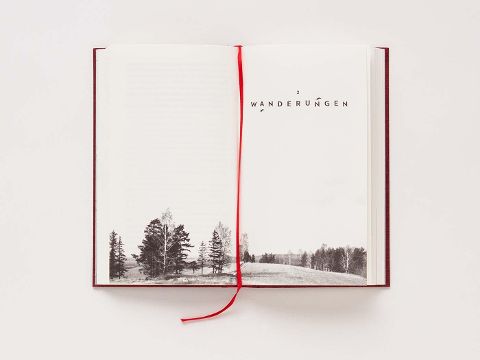 InsideView 5