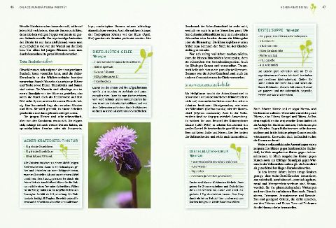 InsideView 7