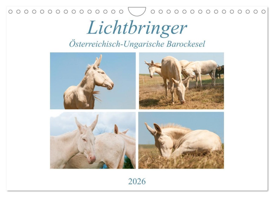 Lichtbringer - Österreichisch-Ungarische Barockesel (Wandkalender 2026 DIN A4 quer), CALVENDO Monatskalender - Meike Bölts