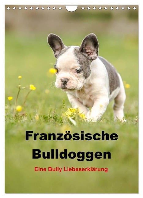 Französische Bulldoggen - Eine Bully Liebeserkärung (Wandkalender 2025 DIN A4 hoch), CALVENDO Monatskalender - Yvonne Obermüller