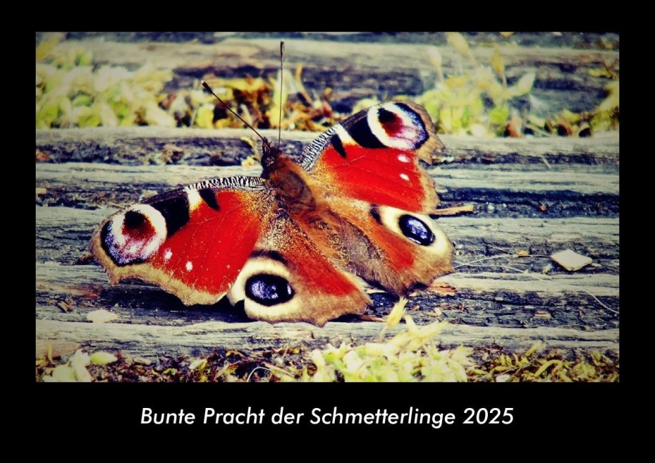 Bunte Pracht der Schmetterlinge 2025 Fotokalender DIN A3 - Tobias Becker