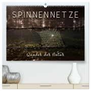 Cover-Bild zum Titel 'Spinnennetze - Wunder der Natur (hochwertiger Premium Wandkalender 2026 DIN A2 quer), Kunstdruck in Hochglanz' von 'Peter Roder'