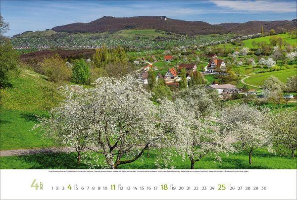 InsideView 4