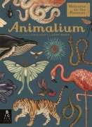 Cover-Bild zum Titel 'Animalium' von 'Jenny Broom'