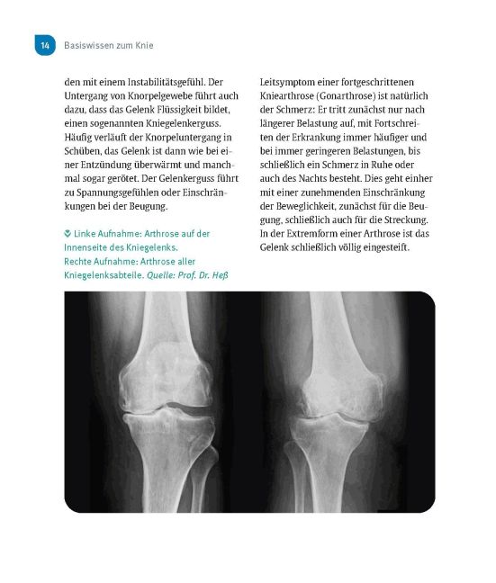 InsideView 13