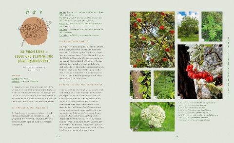 InsideView 4