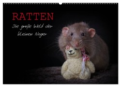 Cover-Bild zum Titel 'Ratten. Die große Welt der kleinen Nager (Wandkalender 2026 DIN A2 quer), CALVENDO Monatskalender' von 'Thorsten Nilson'
