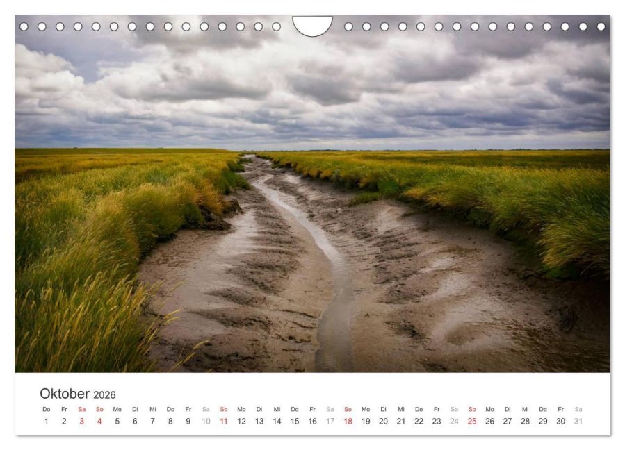 InsideView 2