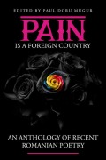 Cover-Bild zum Titel 'Pain Is a Foreign Country' von 'Paul Doru Mugur'