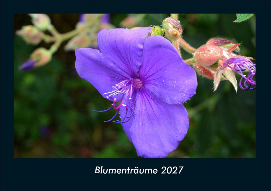 Blumenträume 2027 Fotokalender DIN A4 - Tobias Schmitt, Kevin Heber