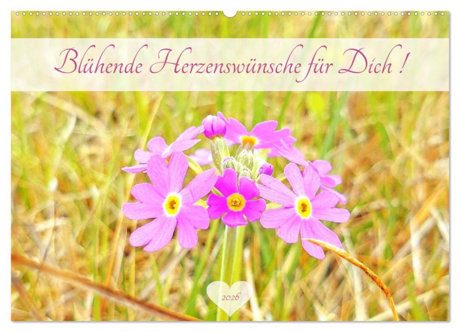 Blühende Herzenswünsche für Dich! (Wandkalender 2026 DIN A2 quer), CALVENDO Monatskalender - Michaela Schimmack
