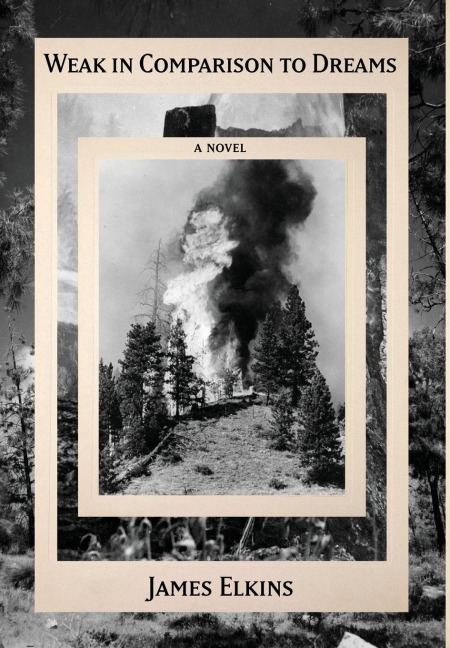 Weak in Comparison to Dreams - James Elkins