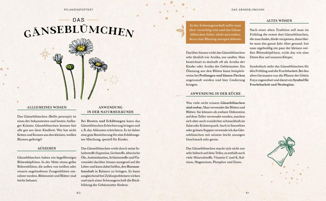 InsideView 14