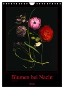 Cover-Bild zum Titel 'Blumen bei Nacht (Wandkalender 2026 DIN A4 hoch), CALVENDO Monatskalender' von 'Ramona Reimann'