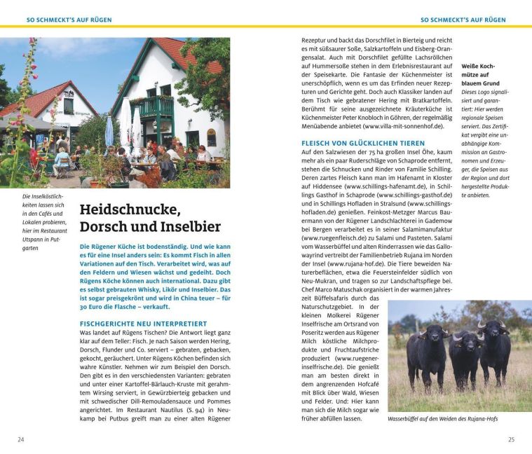 InsideView 7