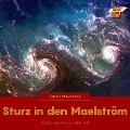 Cover-Bild zum Titel 'Sturz in den Maelström' von 'Edgar Allan Poe'