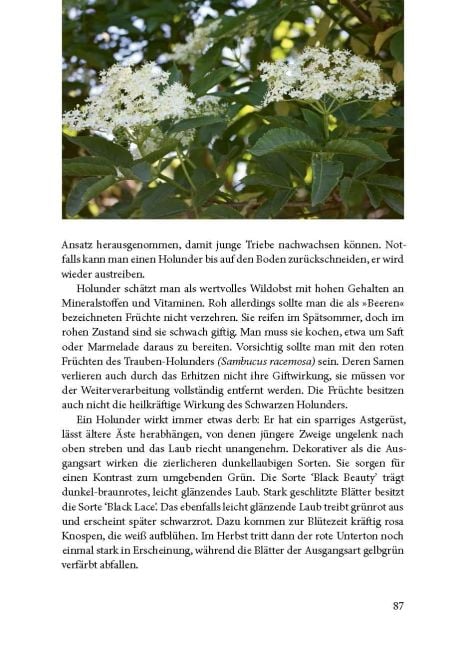 InsideView 3