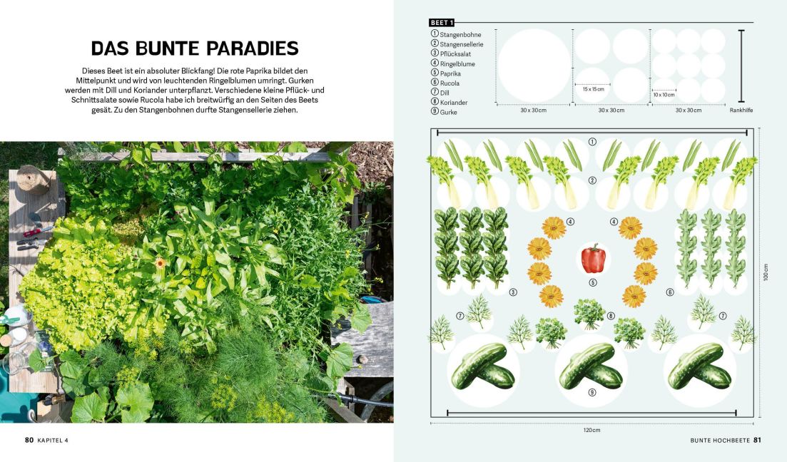 InsideView 5