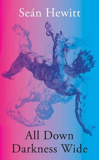 All Down Darkness Wide - Seán Hewitt